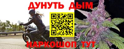 СК Дубна