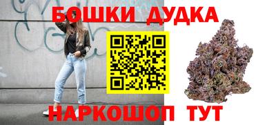 СК Дубна