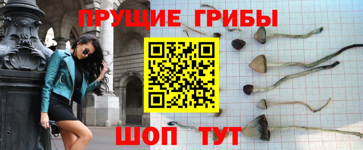 Галлюциногенные грибы мухоморы Лыткарино