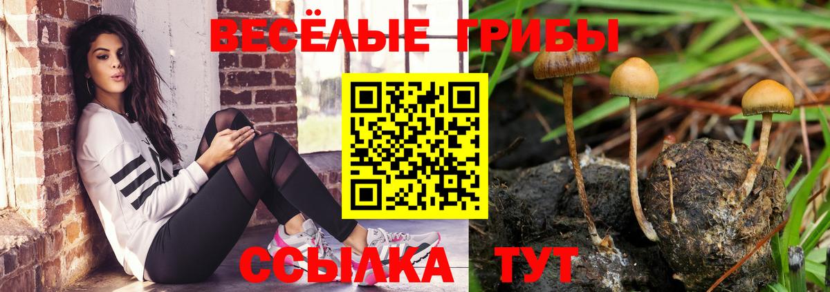 купить наркотики цена  Вход с VPN  Лыткарино  Галлюциногенные грибы Magic Shrooms 